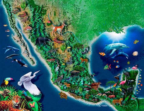 Pérdida de ecosistemas y sus efectos en el clima