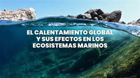 Proteger los ecosistemas marinos del cambio climático: Estrategias efectivas