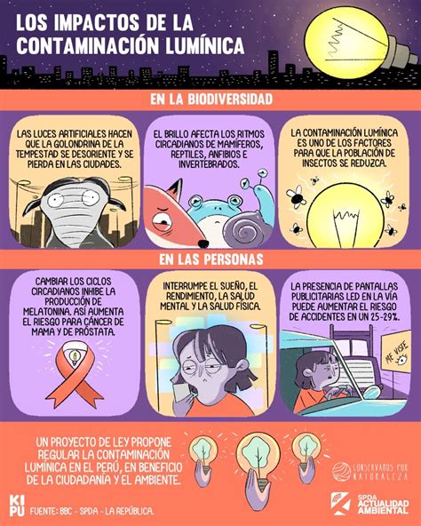 Fuentes e Impactos de la Contaminación Lumínica: Todo lo que Debes Saber