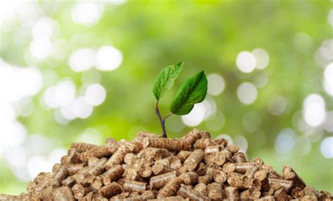 Tecnologías Eficientes en Biomasa: Innovaciones para Energía Sostenible