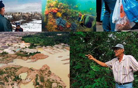 Retos en la protección de ecosistemas: Cuáles son los desafíos actuales