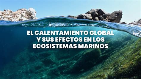 Ecosistemas afectados por el calentamiento global: los más vulnerables