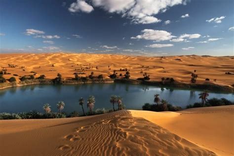 Oasis: Características y Definición de Este Fenómeno Natural