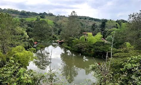 Oasis: clave para el bienestar local