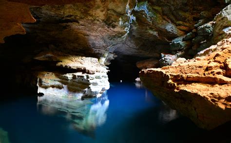 Preservar la biodiversidad en cuevas: medidas efectivas para su conservación