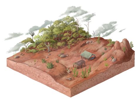 Amenazas a ecosistemas áridos y semiáridos: identificación y soluciones