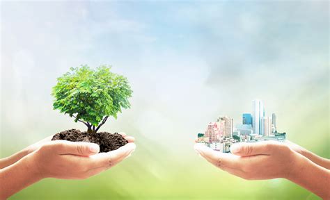 Promover la sostenibilidad en comunidades de manera eficaz