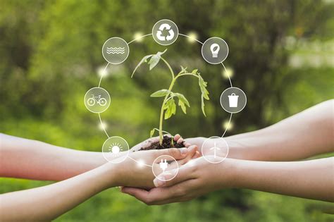 Prácticas Sostenibles para Impulsar tu Empresa