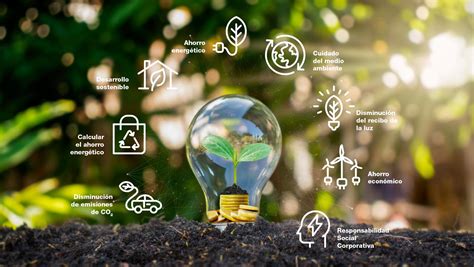 Promover la sostenibilidad y eficiencia energética en ciudades: Estrategias efectivas