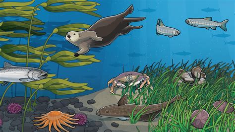 Protección de ecosistemas acuáticos frente al cambio climático