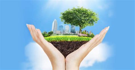 Promover la restauración de ecosistemas urbanos: estrategias efectivas y beneficios