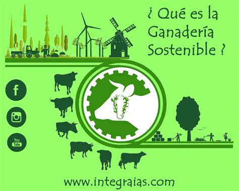 Reducir la huella de carbono en ganadería: estrategias efectivas
