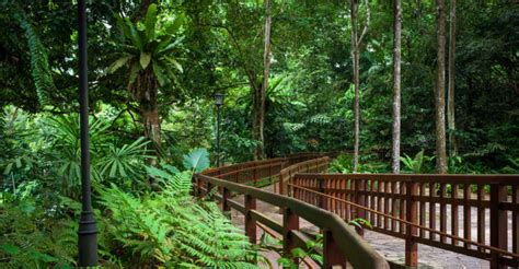 Reservas naturales: Esenciales para proteger ecosistemas