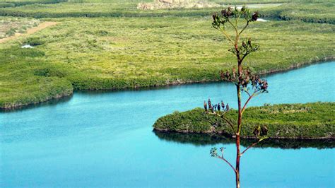 Guías efectivas para restauración de humedales