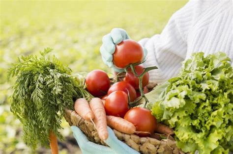 Sostenibilidad y seguridad alimentaria: clave para un futuro responsable