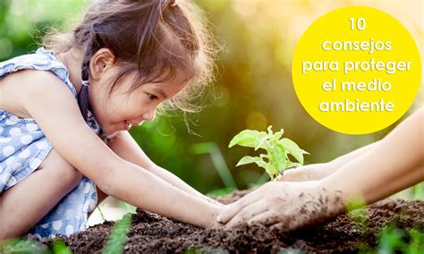 Colaborar en la conservación de ecosistemas: Guía práctica para contribuir al medio ambiente