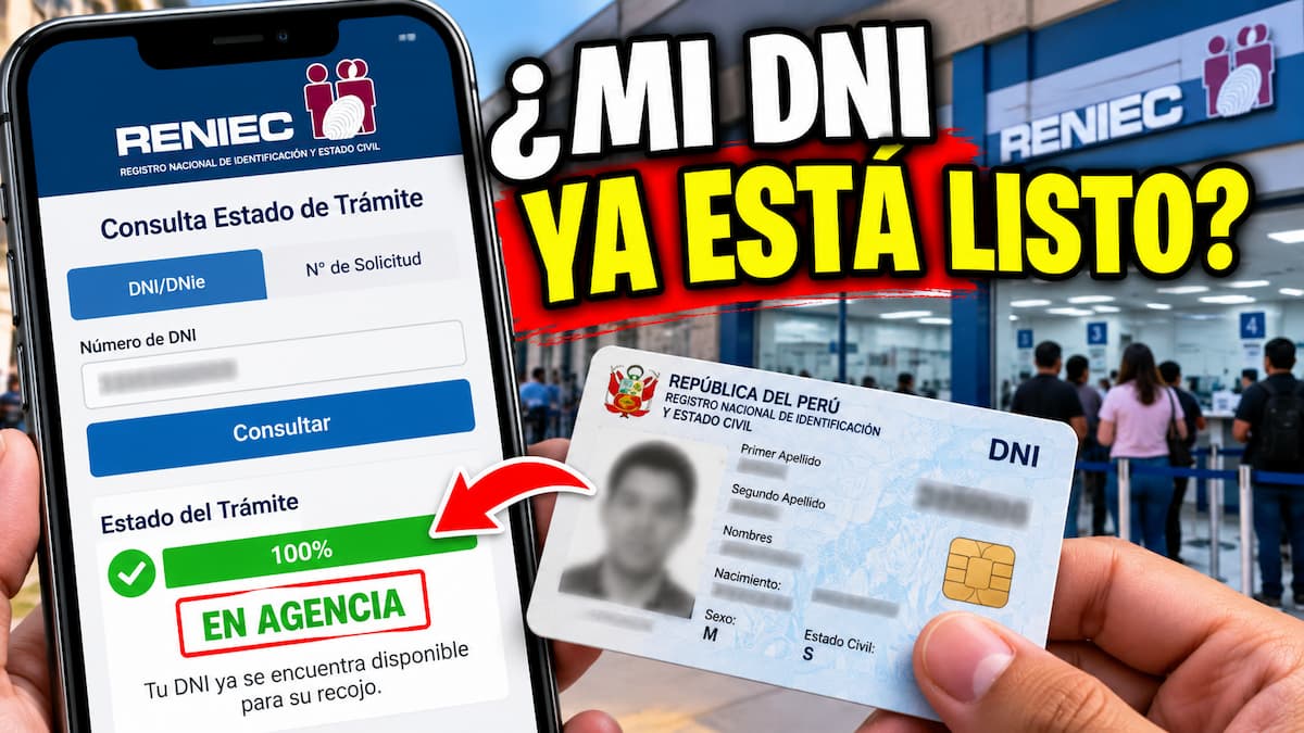consultar estado DNI RENIEC